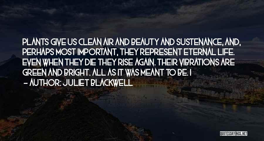 Bright Quotes By Juliet Blackwell