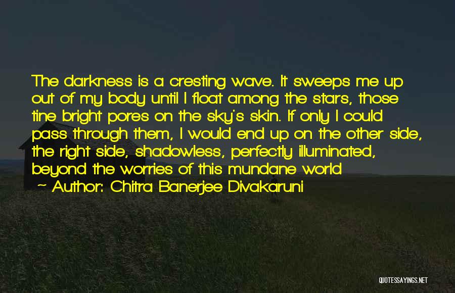 Bright Sky Quotes By Chitra Banerjee Divakaruni