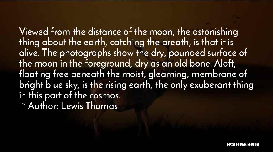Bright Sky Quotes By Lewis Thomas