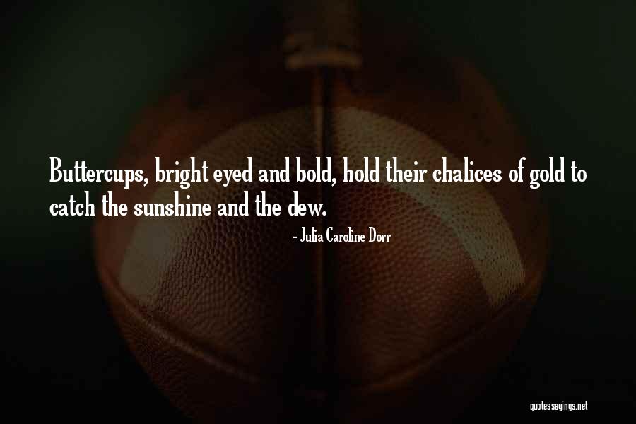 Bright Sunshine Quotes By Julia Caroline Dorr Bright Sunshine Quotes By Julia Caroline Dorr