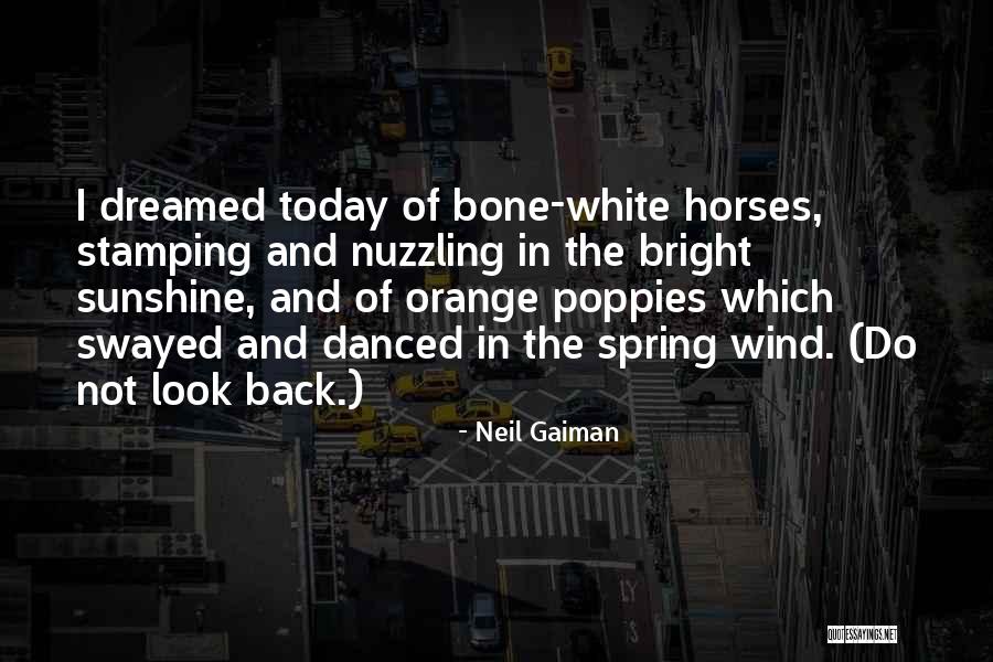 Bright Sunshine Quotes By Neil Gaiman Bright Sunshine Quotes By Neil Gaiman