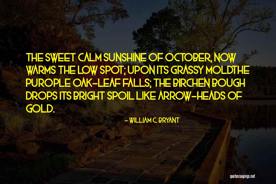Bright Sunshine Quotes By William C. Bryant Bright Sunshine Quotes By William C. Bryant