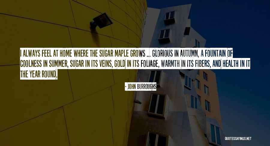 Brightbill Park Quotes By John Burroughs Brightbill Park Quotes By John Burroughs