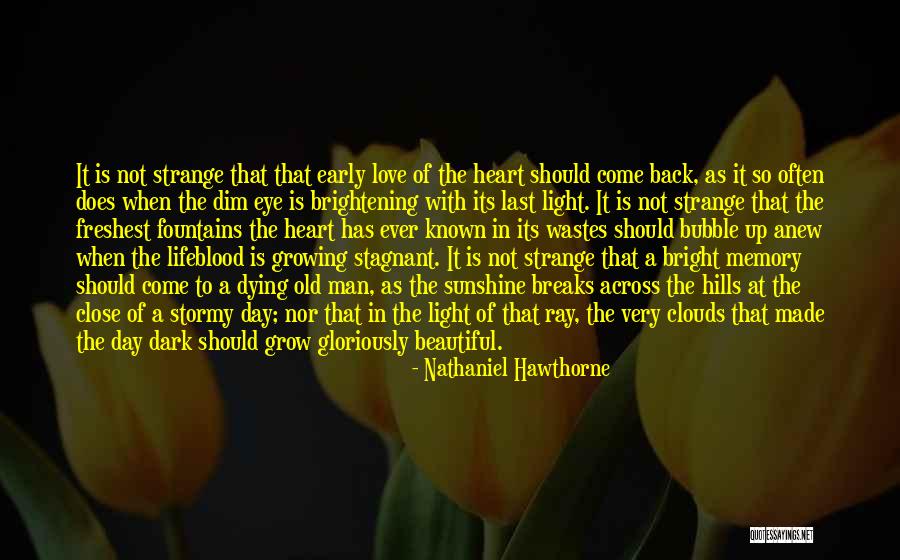 Brightening My Day Quotes By Nathaniel Hawthorne