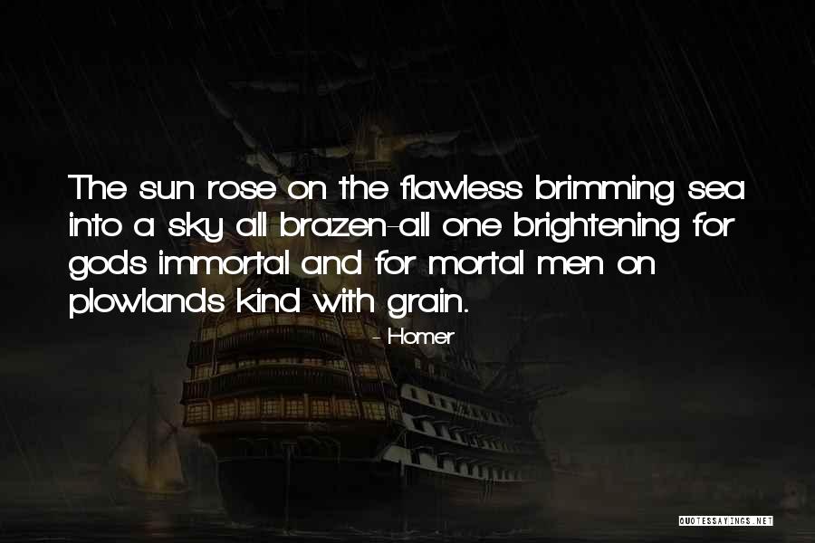 Brightening Quotes By Homer Brightening Quotes By Homer
