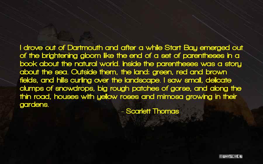 Brightening Quotes By Scarlett Thomas Brightening Quotes By Scarlett Thomas