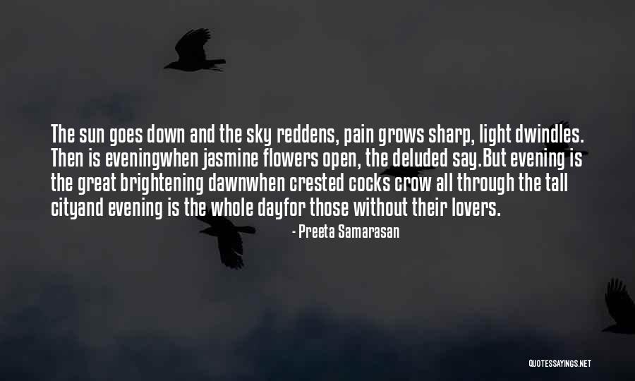 Brightening Up Your Day Quotes By Preeta Samarasan