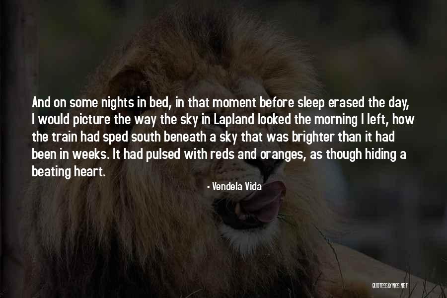 Brighter Morning Quotes By Vendela Vida Brighter Morning Quotes By Vendela Vida