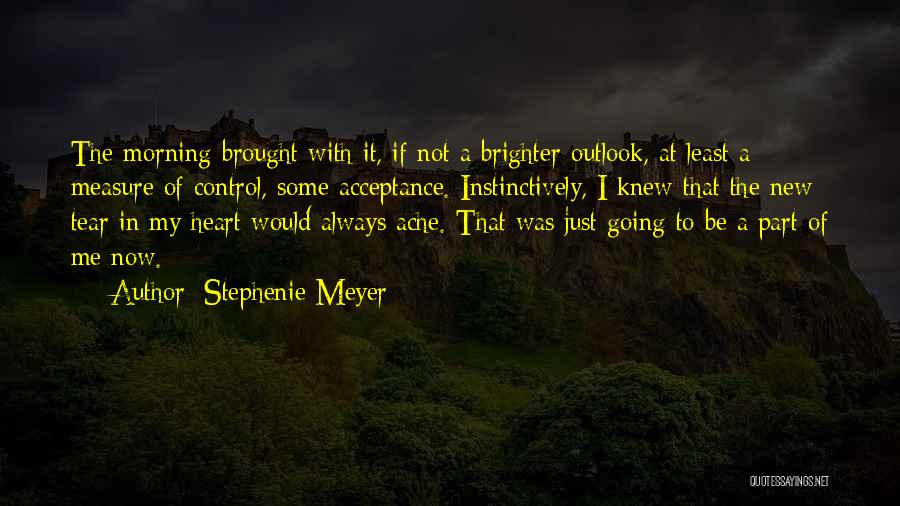 Brighter Outlook Quotes By Stephenie Meyer
