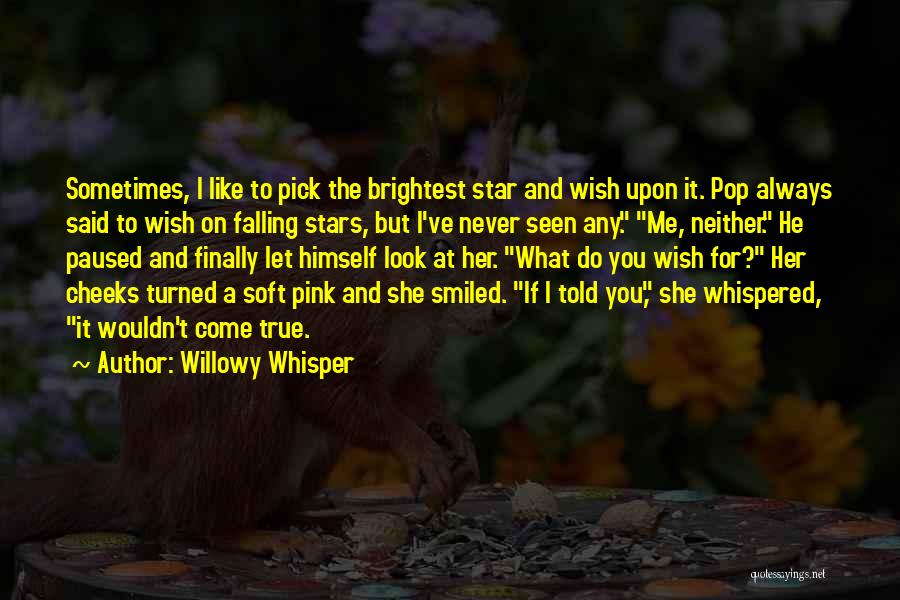 Brightest Star Quotes By Willowy Whisper