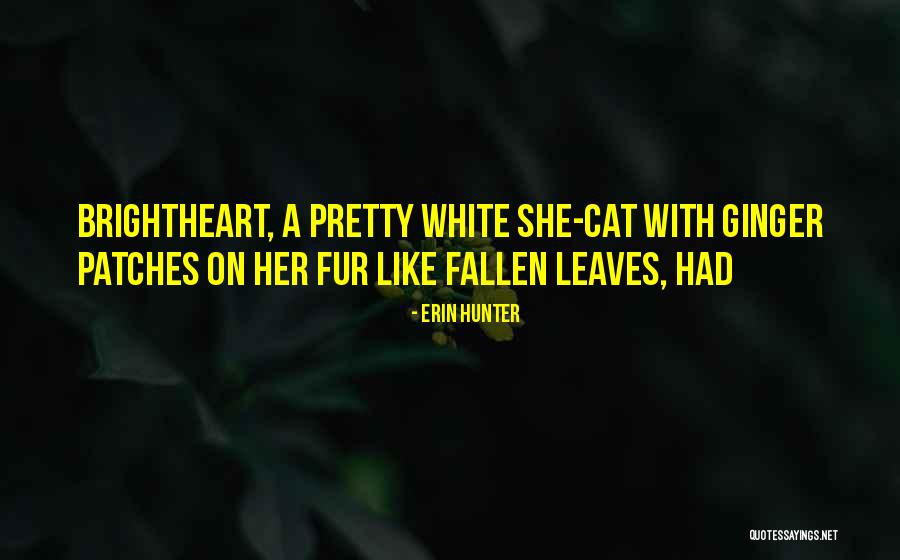 Brightheart Quotes By Erin Hunter Brightheart Quotes By Erin Hunter