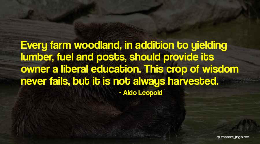 Brightlingsea School Quotes By Aldo Leopold Brightlingsea School Quotes By Aldo Leopold