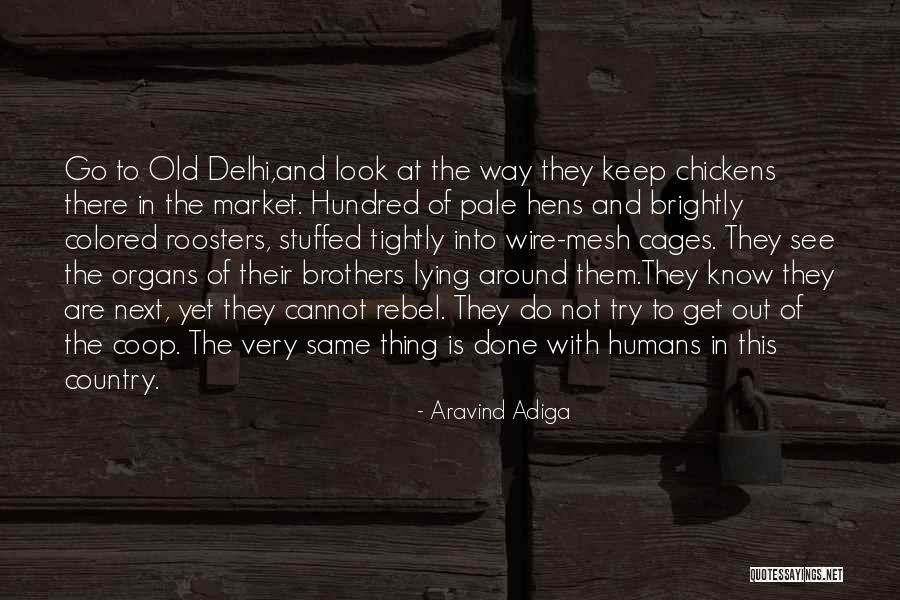 Brightly Quotes By Aravind Adiga Brightly Quotes By Aravind Adiga