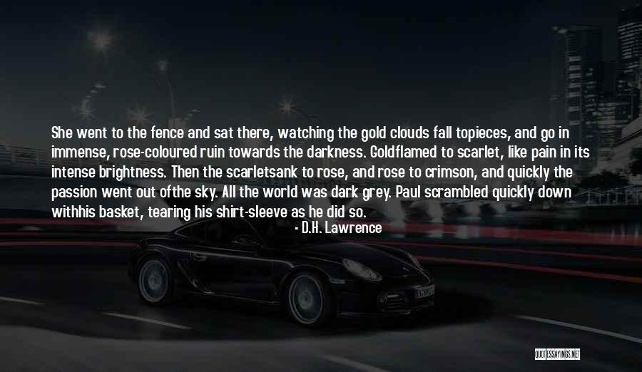 Brightness And Darkness Quotes By D.H. Lawrence Brightness And Darkness Quotes By D.H. Lawrence