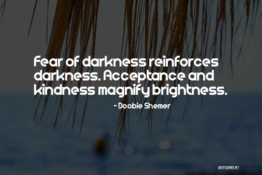 Brightness And Darkness Quotes By Doobie Shemer