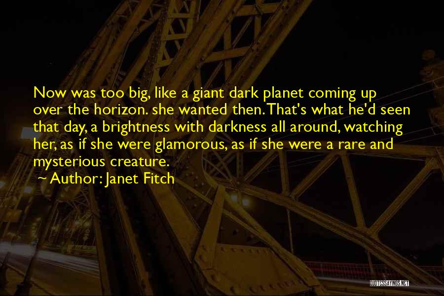 Brightness And Darkness Quotes By Janet Fitch