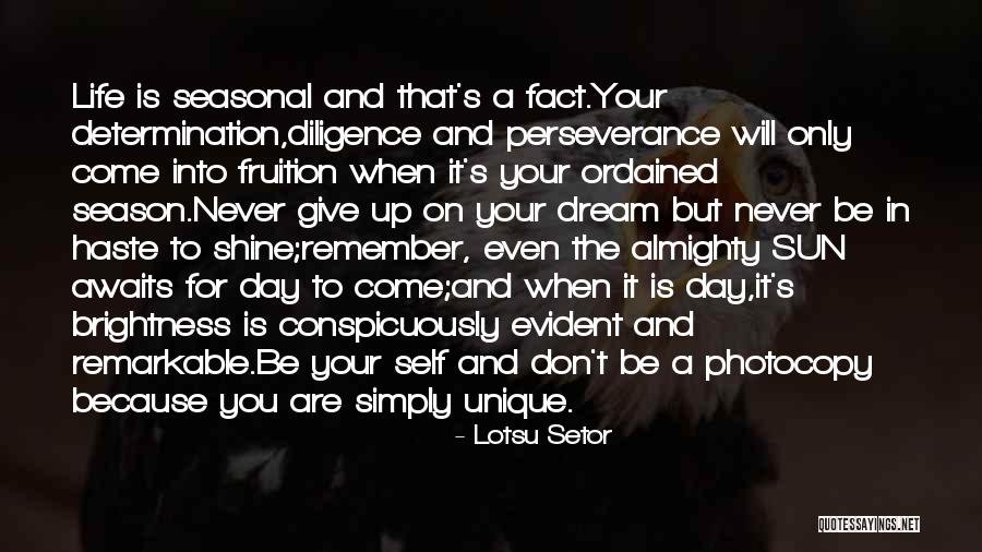 Brightness In Your Life Quotes By Lotsu Setor Brightness In Your Life Quotes By Lotsu Setor
