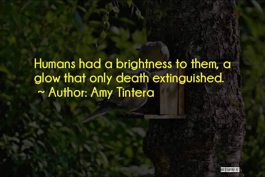 Brightness Quotes By Amy Tintera