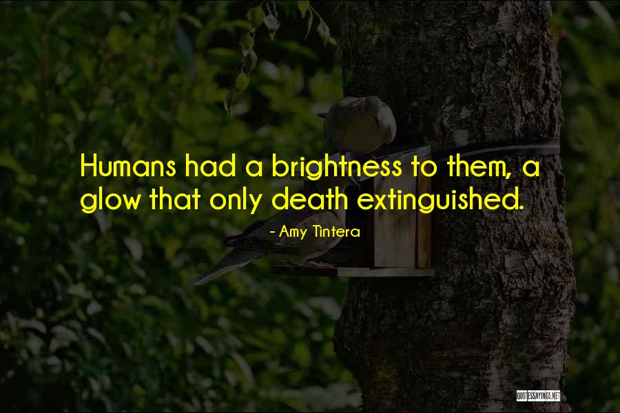 Brightness Quotes By Amy Tintera Brightness Quotes By Amy Tintera