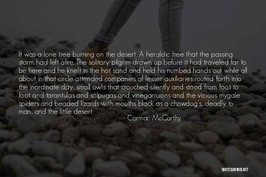 Brightness Quotes By Cormac McCarthy