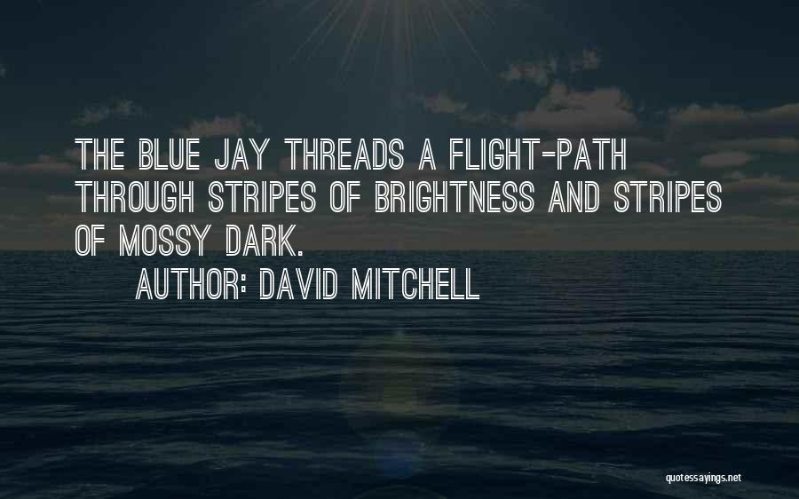 Brightness Quotes By David Mitchell