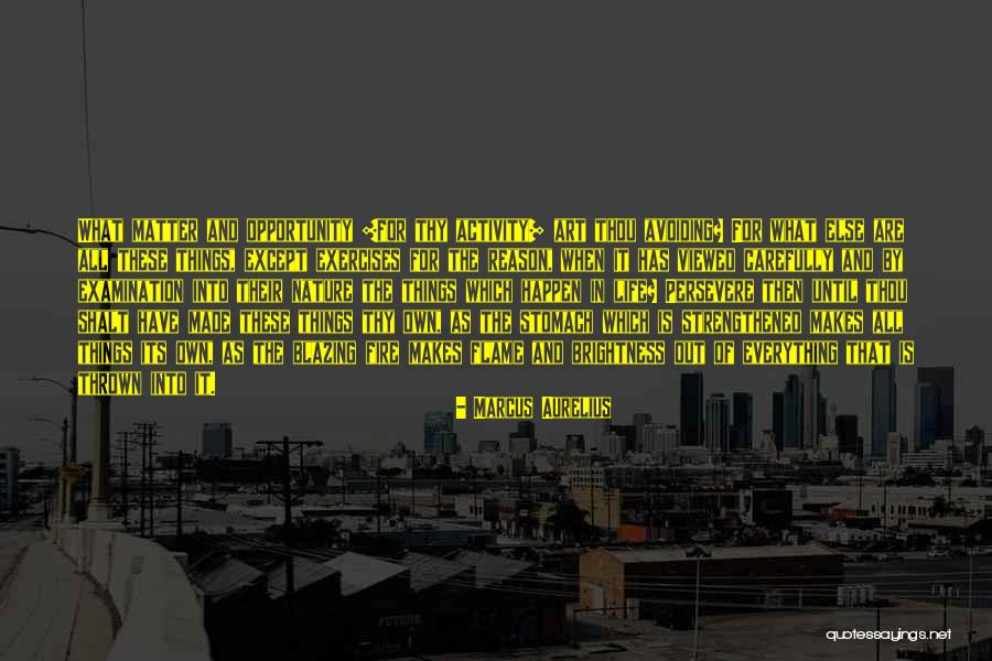 Brightness Quotes By Marcus Aurelius Brightness Quotes By Marcus Aurelius