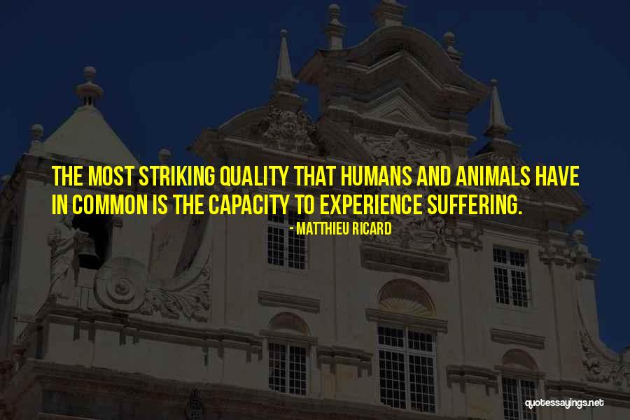Brighton England Quotes By Matthieu Ricard Brighton England Quotes By Matthieu Ricard