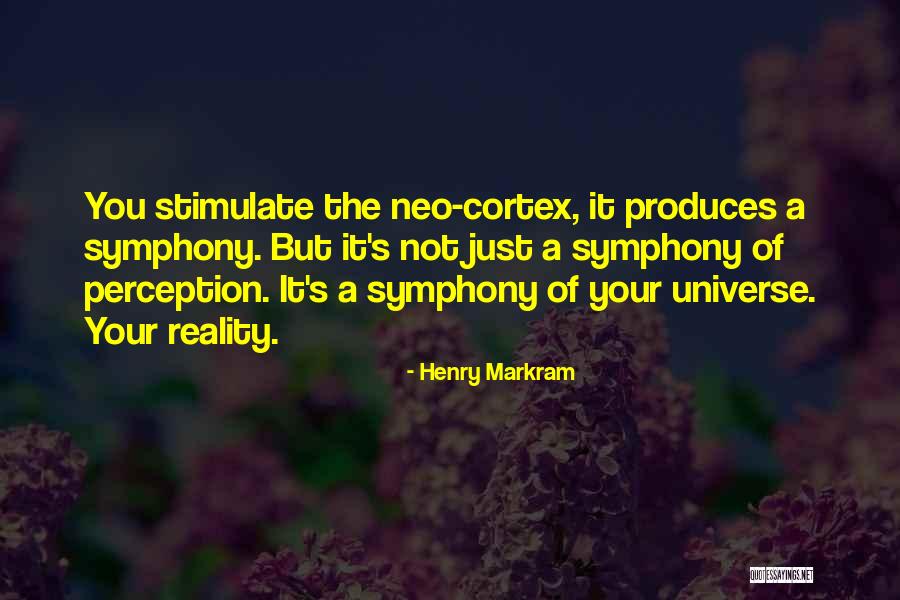 Brightwell Ohio Quotes By Henry Markram Brightwell Ohio Quotes By Henry Markram