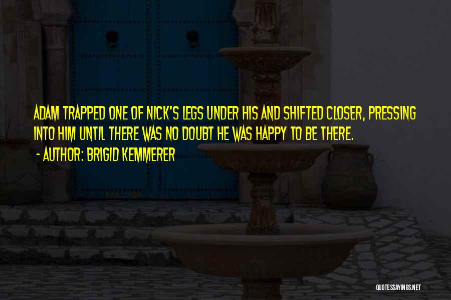 Brigid Kemmerer Quotes 1226048