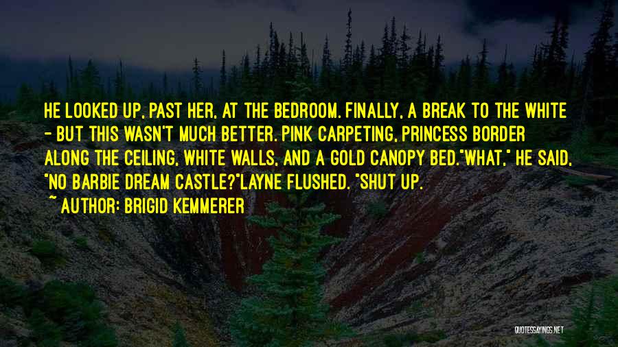 Brigid Kemmerer Quotes 1333010