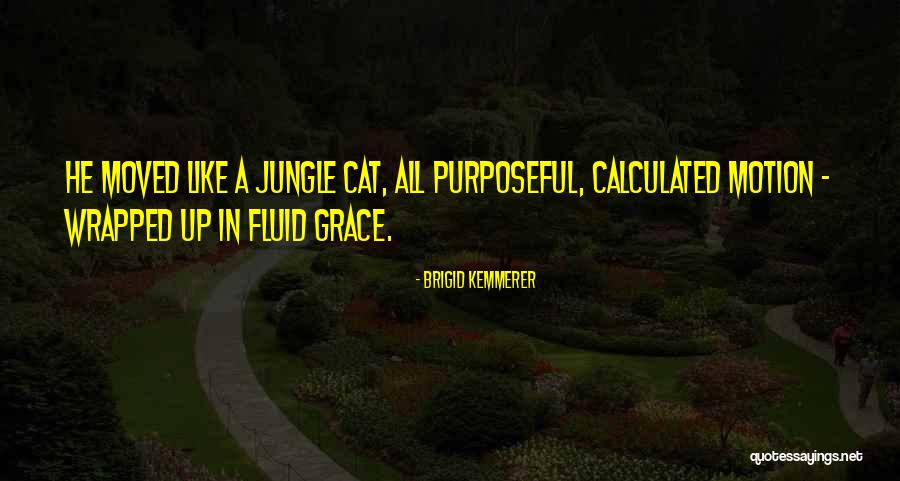 Brigid Kemmerer Quotes 1449058 Brigid Kemmerer Quotes 1449058