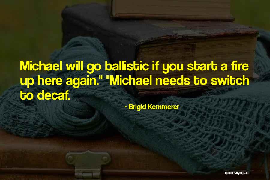 Brigid Kemmerer Quotes 1465776