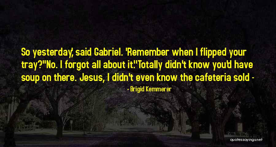 Brigid Kemmerer Quotes 1624670