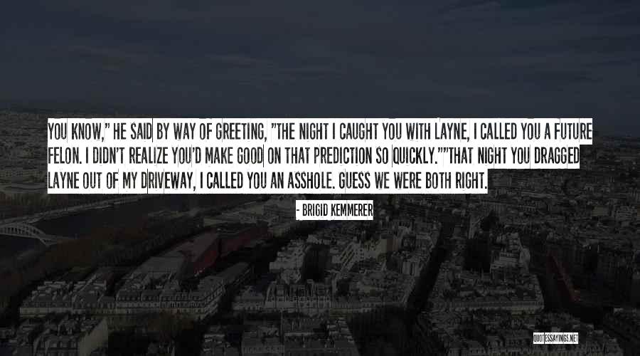 Brigid Kemmerer Quotes 488229 Brigid Kemmerer Quotes 488229