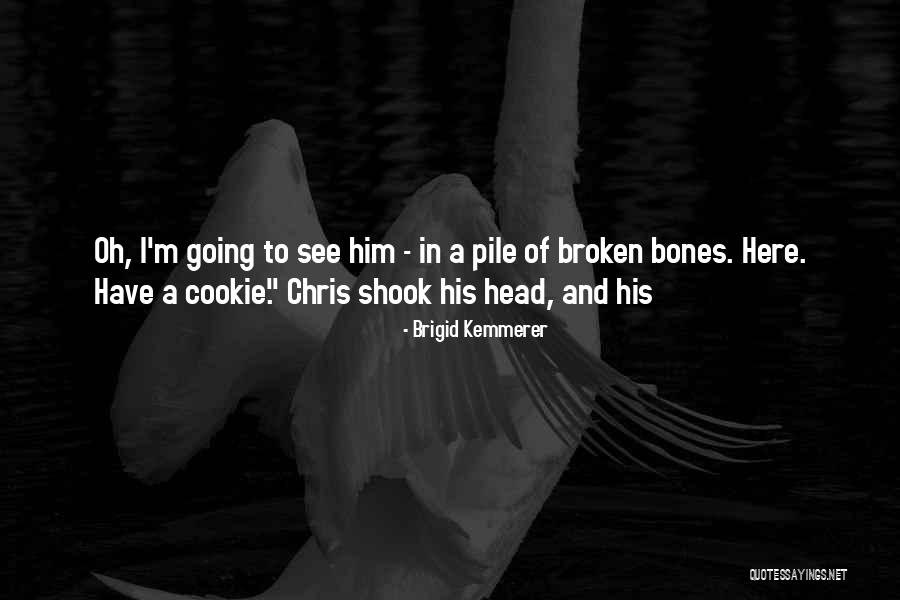 Brigid Kemmerer Quotes 563405 Brigid Kemmerer Quotes 563405
