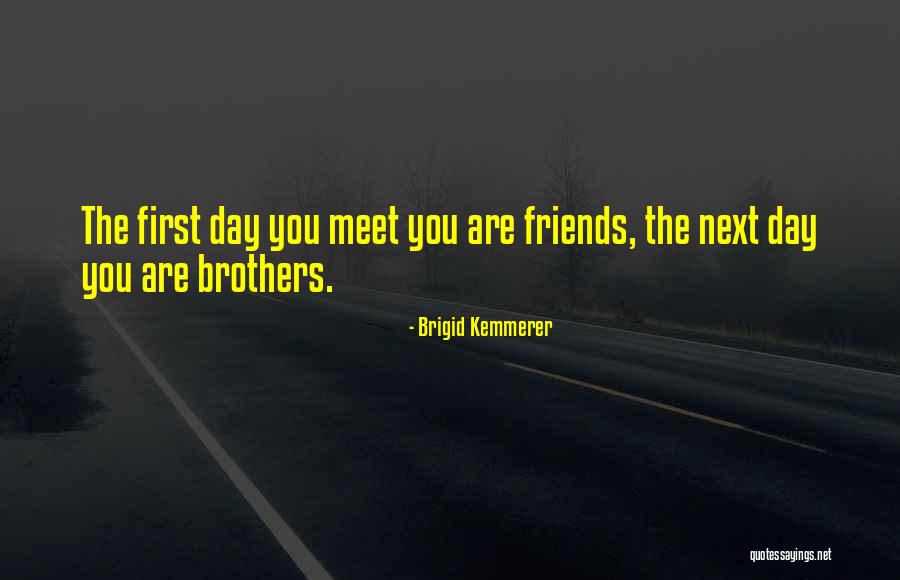 Brigid Kemmerer Quotes 690574