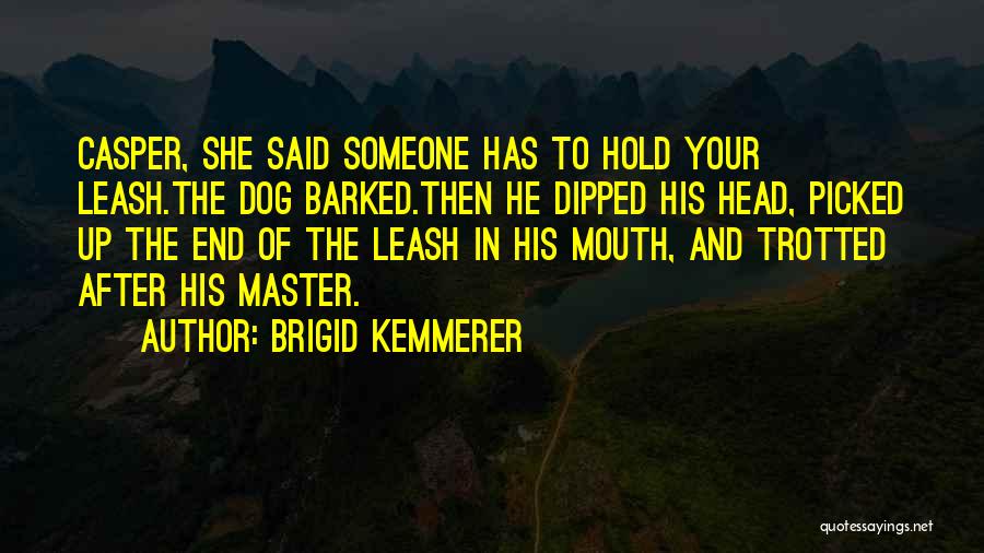 Brigid Kemmerer Quotes 746402