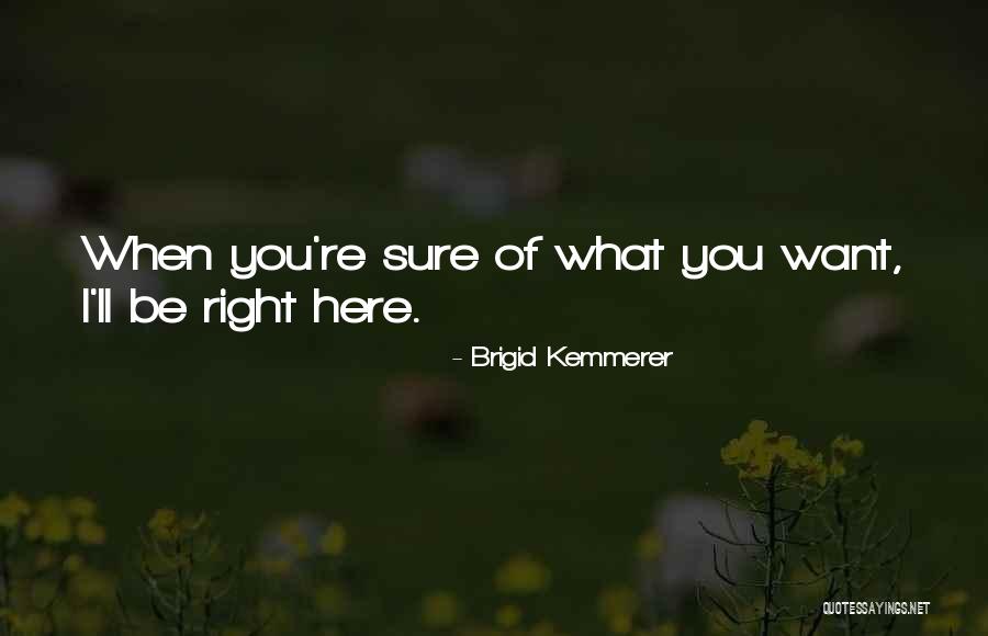 Brigid Kemmerer Quotes 783869 Brigid Kemmerer Quotes 783869
