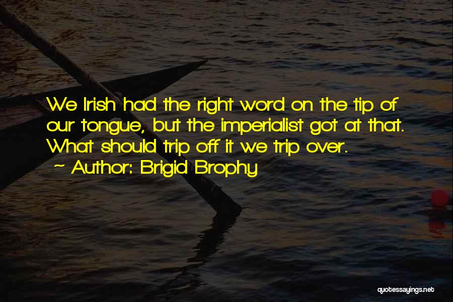 Brigid O'shaughnessy Quotes By Brigid Brophy