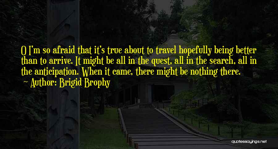 Brigid O'shaughnessy Quotes By Brigid Brophy