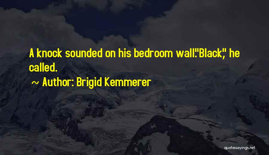 Brigid O'shaughnessy Quotes By Brigid Kemmerer