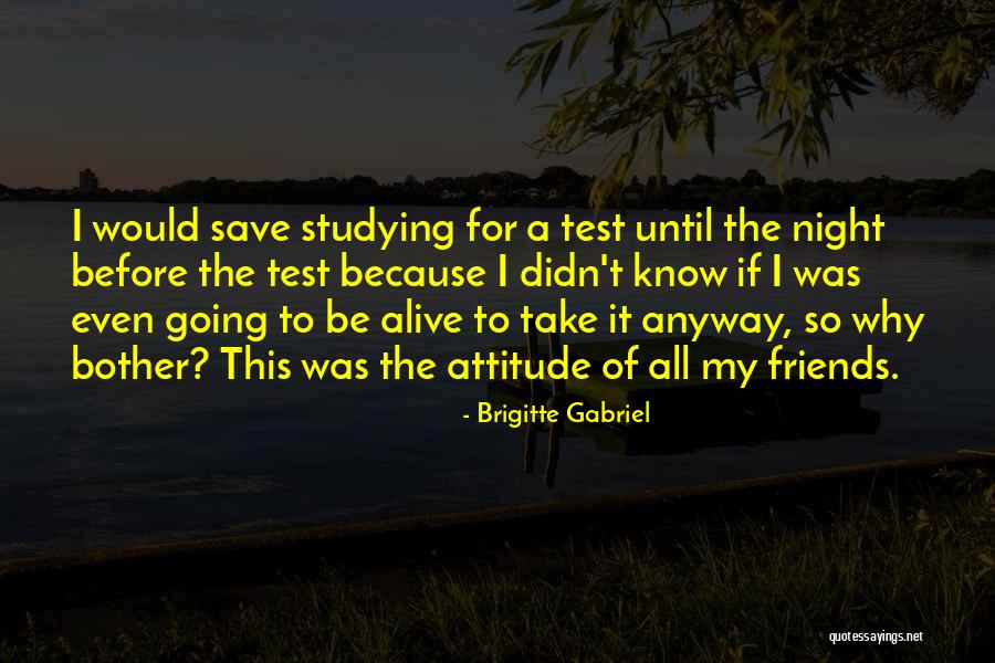 Brigitte Gabriel Quotes 118264 Brigitte Gabriel Quotes 118264