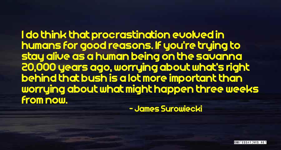 Brigle Quotes By James Surowiecki Brigle Quotes By James Surowiecki