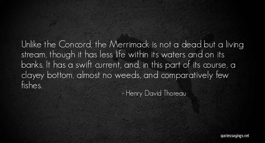 Briguez Quotes By Henry David Thoreau Briguez Quotes By Henry David Thoreau