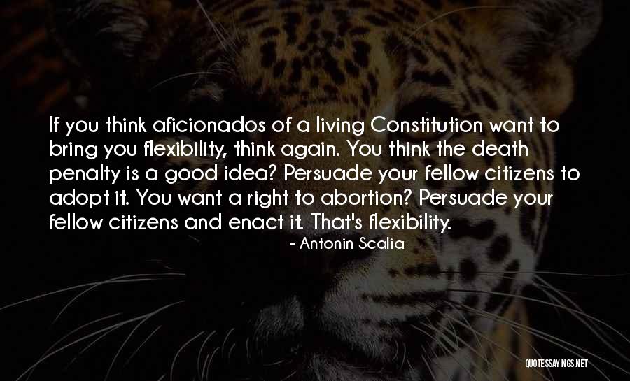 Brilhart Level Quotes By Antonin Scalia Brilhart Level Quotes By Antonin Scalia