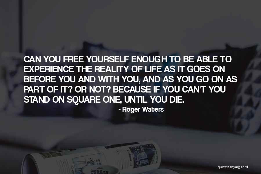 Brilhouder Quotes By Roger Waters Brilhouder Quotes By Roger Waters