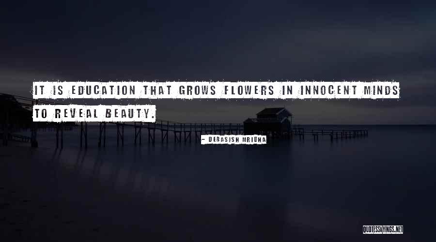 Brillembourg Babson Quotes By Debasish Mridha