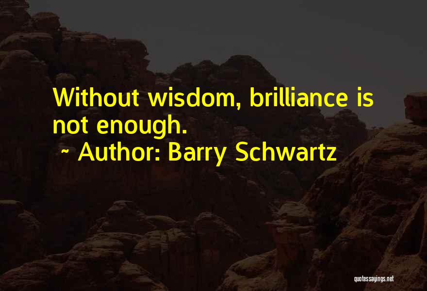 Brilliance Quotes By Barry Schwartz