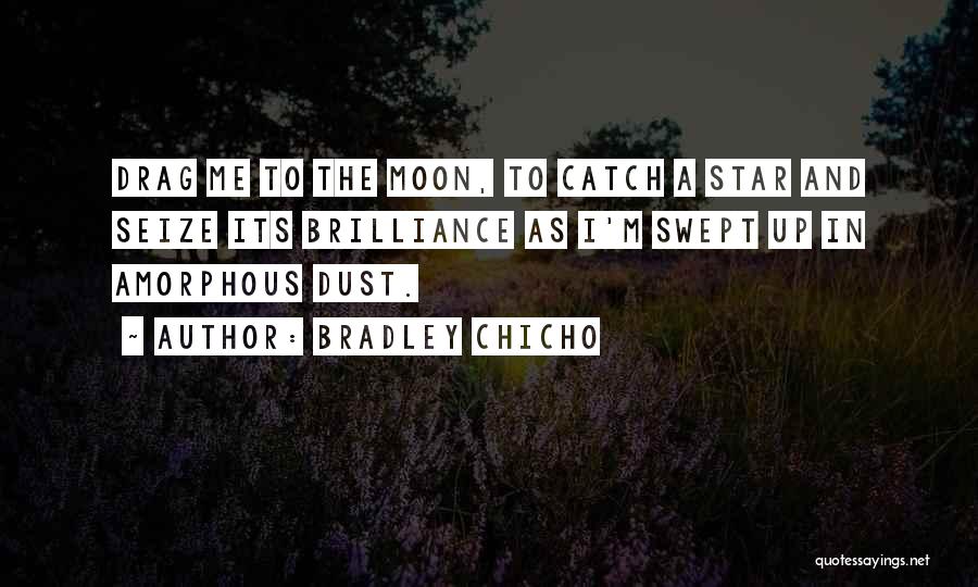 Brilliance Quotes By Bradley Chicho