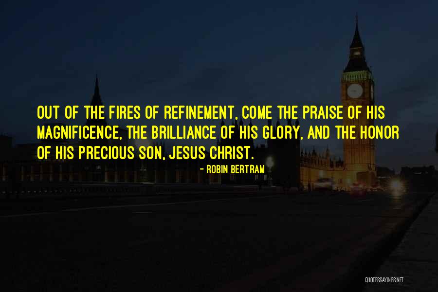 Brilliance Quotes Quotes By Robin Bertram Brilliance Quotes Quotes By Robin Bertram